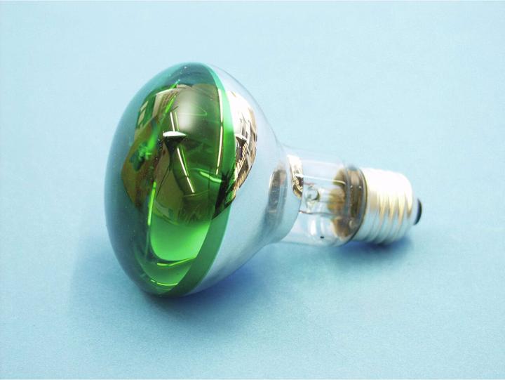 Actual product image Omnilux R80 230V/60W E-27 green (60 W, E27)