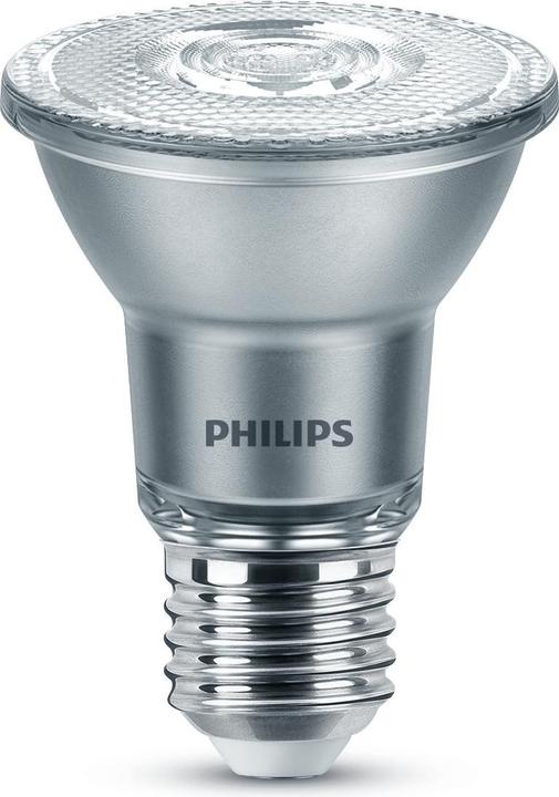 Philips LED Classic (E27, 13 W, 500 lm, 1 x, F)