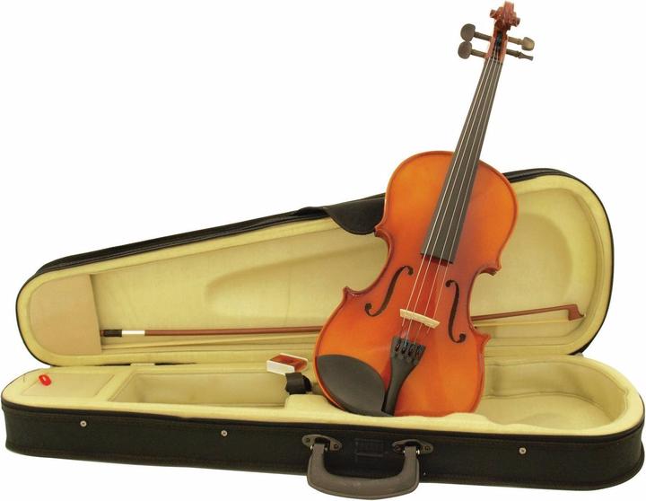 Image du produit Dimavery Violon 4/4 avec archet, dans son étui (Violon, 4/4)