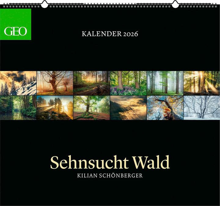 Neumann GEO Kalender: Sehnsucht Wald 2026 - Wand-Kalender - Natur-Kalender - 60x55 (Hardcover, German)