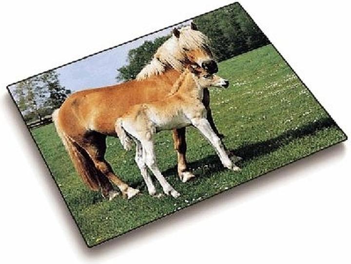 Produktbild Läufer Motiv 40x53 Pferd/Fohl. (53 x 40 cm)
