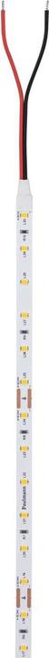 Actual product image Paulmann Pro Strip Silver P25 (Orange, 500 cm, Indoor)