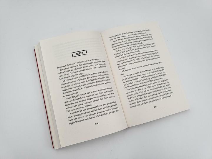 Image du produit The Mothers – Sie müssen perfekt sein oder der Staat nimmt ihnen ihr Kind (Allemand, Polly Ho-Yen, 2023)