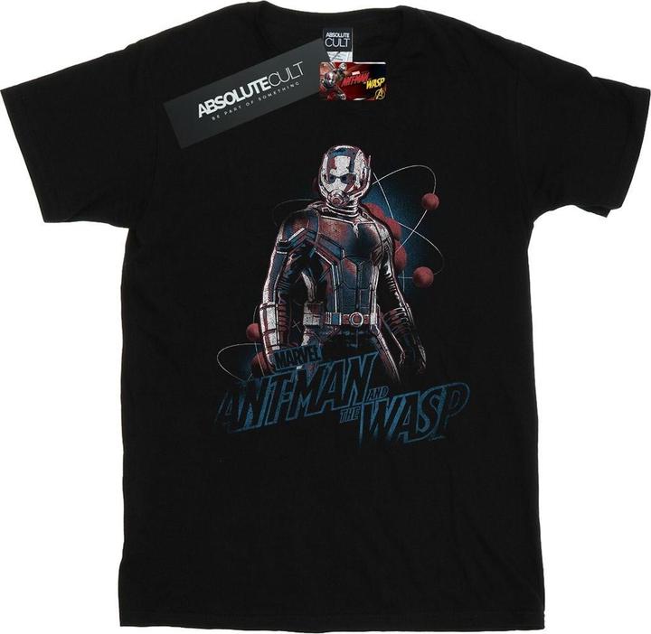 Image du produit Mens Ant-Man And The Wasp Lab Pose T-Shirt (3XL)
