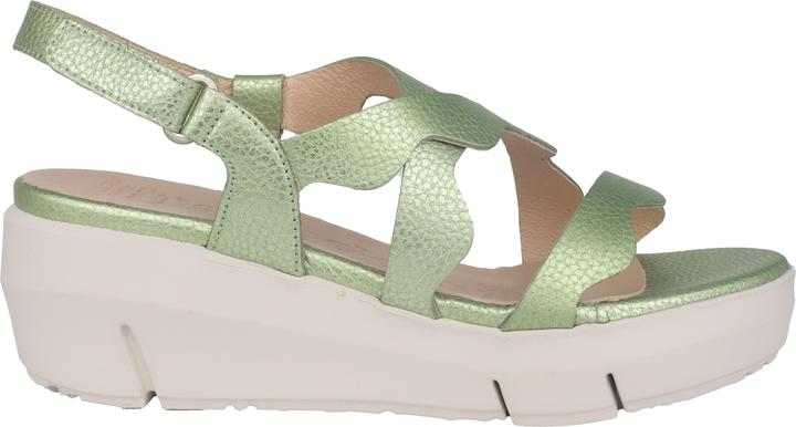 Image du produit Wonders Max (40)