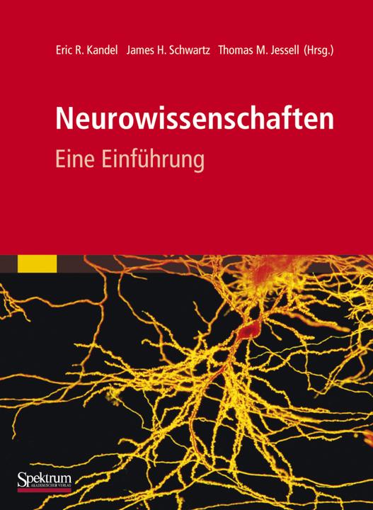 Produktbild Neurowissenschaften (Deutsch, Eric Kandel, Thomas Jessell, James Schwartz, 2012)