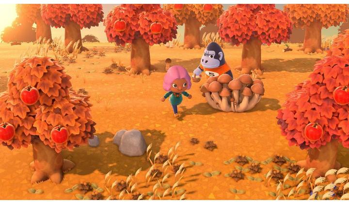Actual product image Nintendo Animal Crossing: New Horizons (Switch, Multilingual)