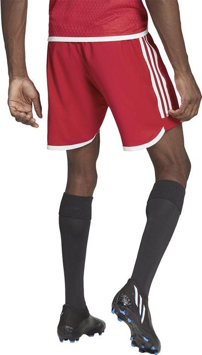 Actual product image adidas Tiro 23 Competition Match training shorts men (S)