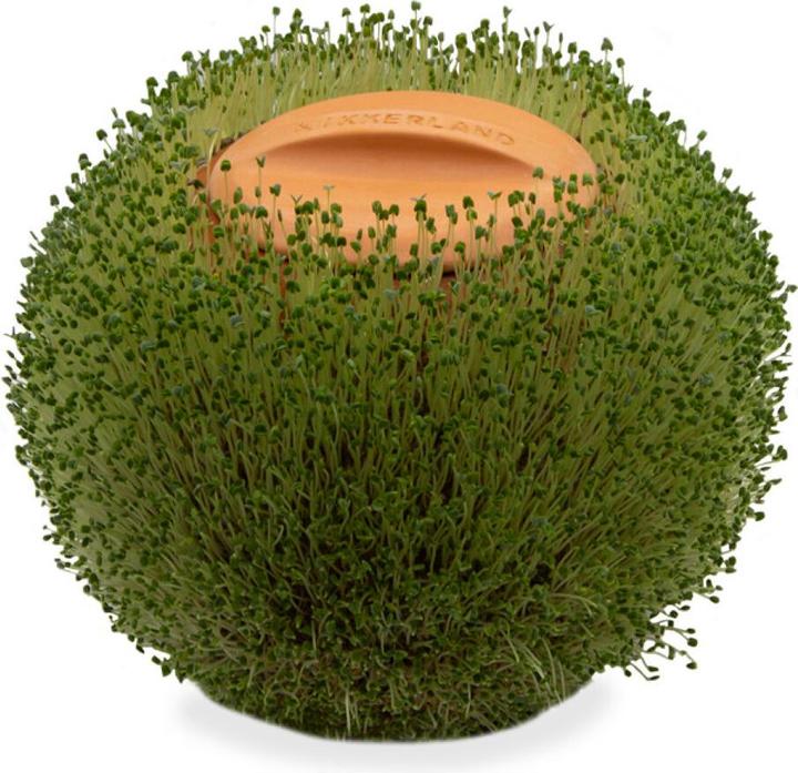 Immagine prodotto Kikkerland Green Orb (15 cm)