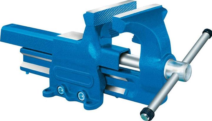 Produktbild Forum Professional Solutions Parallelschraubstock 100mm m.Ambossfl. (127 mm)