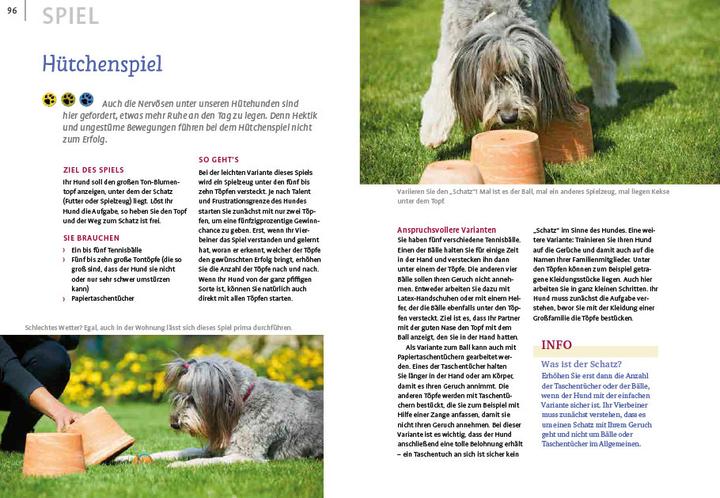Actual product image Spiele und Action für ausgeglichene Hütehunde (German, Marion Albers, 2023)