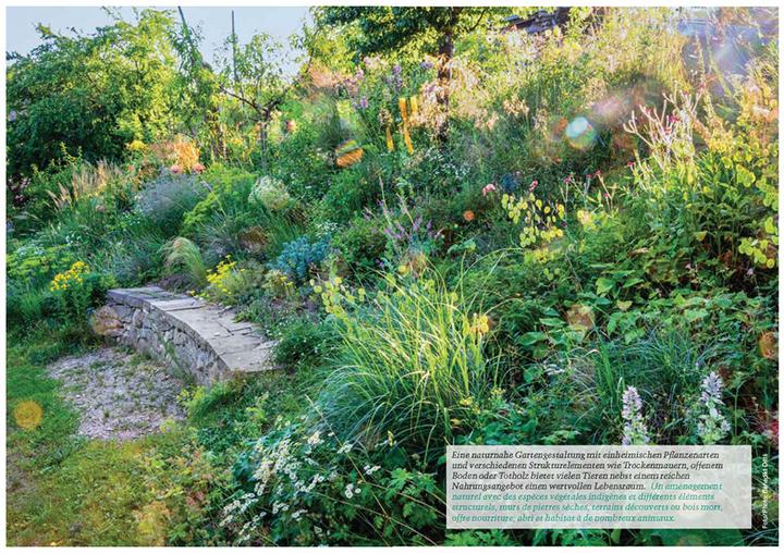 Image du produit Botanica 2024 (Français, Allemand, Beat Fischer, Nicolas Küffer, Botanica/Hortus Botanicus Helveticus, 2024)