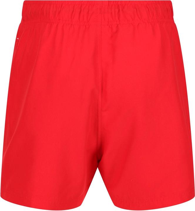 Actual product image Regatta Mawson II Shorts (M)