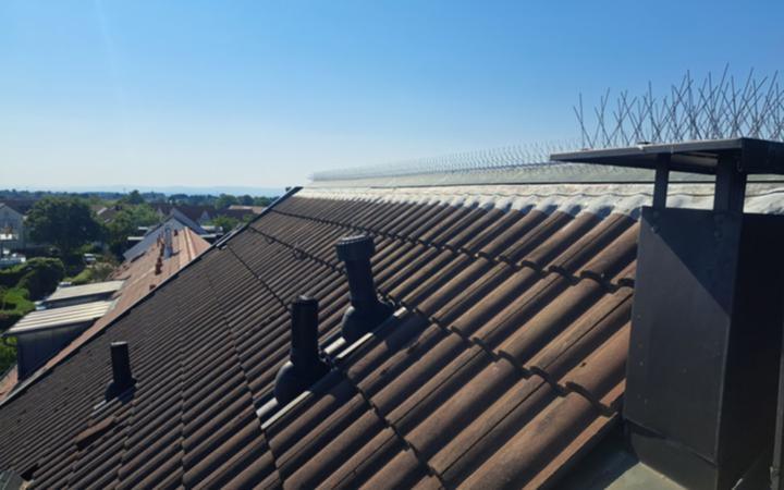 Immagine prodotto Astrein 4 file di punte repellenti per piccioni in acciaio inox 1.4301