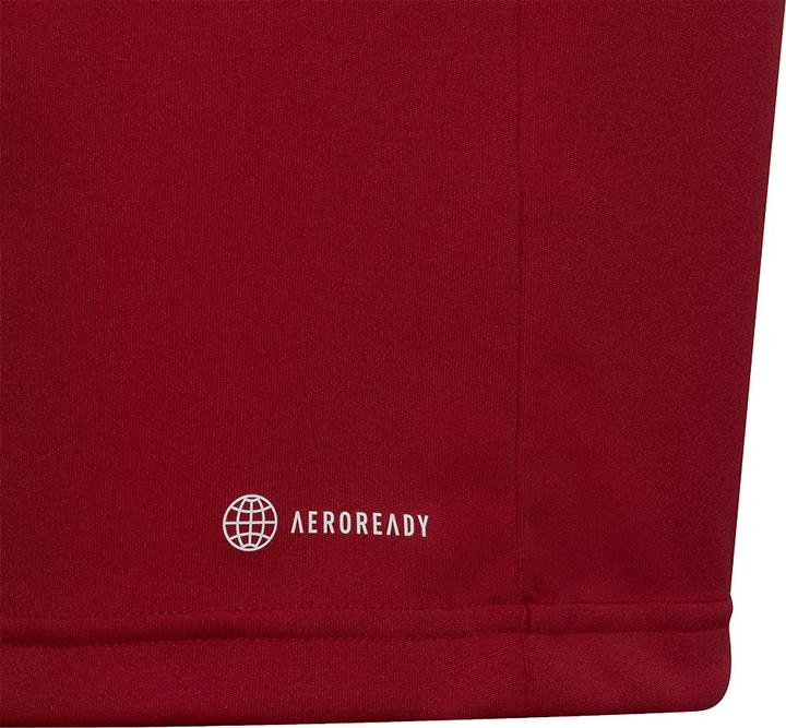 Actual product image adidas Entrada 22 Polo Kids (152)