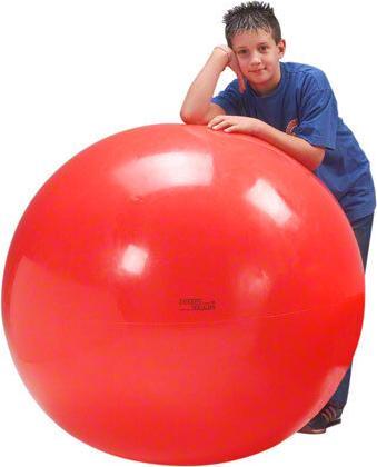 Immagine prodotto Ledraplastic Palla per esercizi (120 cm)