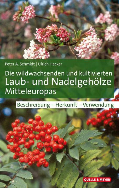 Actual product image Die wildwachsenden und kultivierten Laub- und Nadelgehölze Mitteleuropas (German, Ulrich Hecker, Peter A. Schmidt, 2020)
