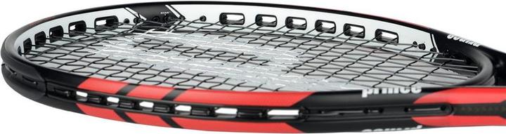 Image du produit Prince Warrior 100 (300 g)