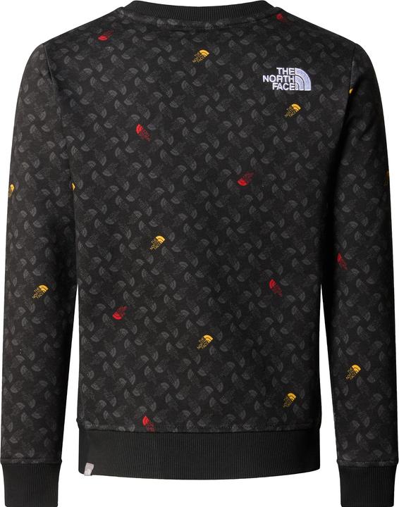 Image du produit North Face Imprimé Garçon Drew Pealight Crew (S)