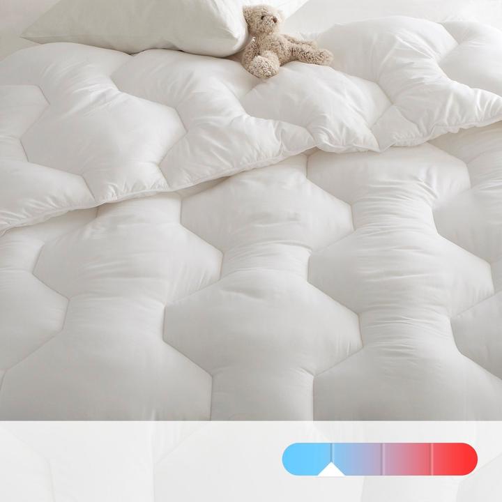 Actual product image La Redoute Interieurs Couette Synthetique (240 x 220 cm)