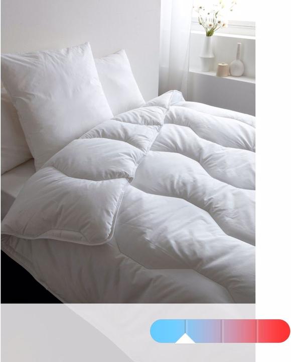 Image du produit La Redoute Interieurs Couette Synthetique (240 x 220 cm)