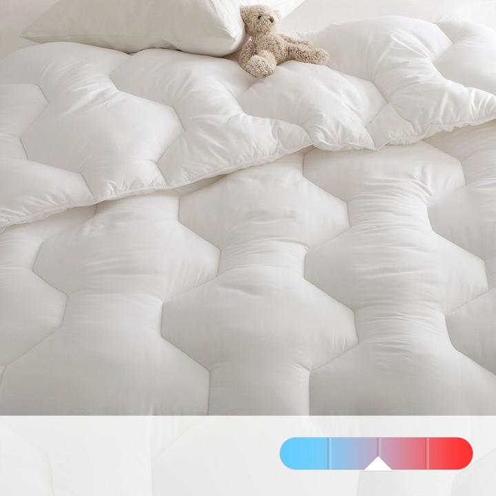 Image du produit La Redoute Interieurs Couette Synthetique (140 x 200 cm)