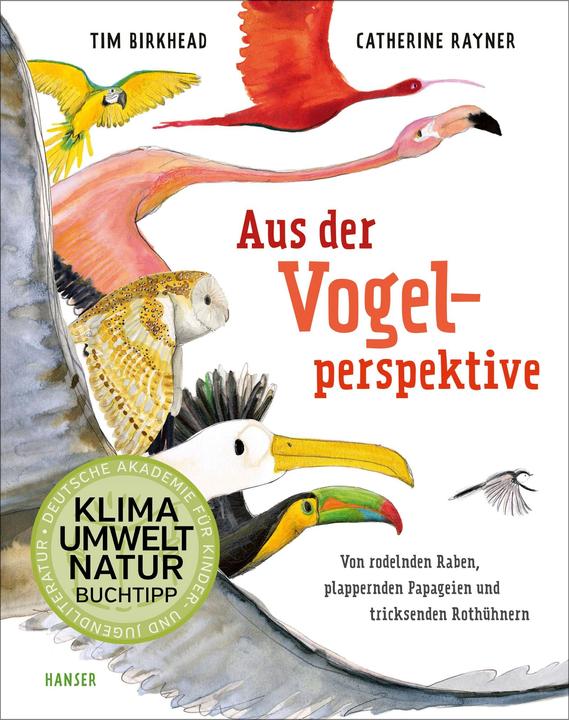 Actual product image Aus der Vogelperspektive (German, Tim Birkhead, Catherine Rayner, Rita Gravert, 2023)