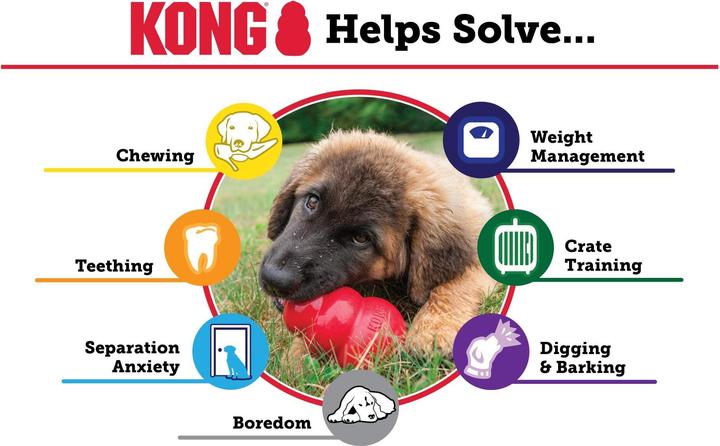 Produktbild KONG Puppy (Welpenspielzeug)