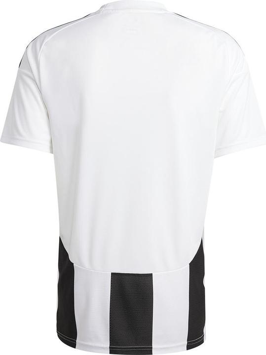 Actual product image adidas Striped 24 Jersey (M)