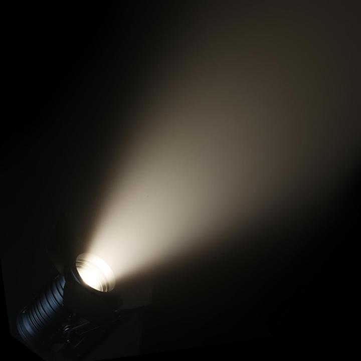 Actual product image TS 100 WW Theater Spot (100 W, LED)