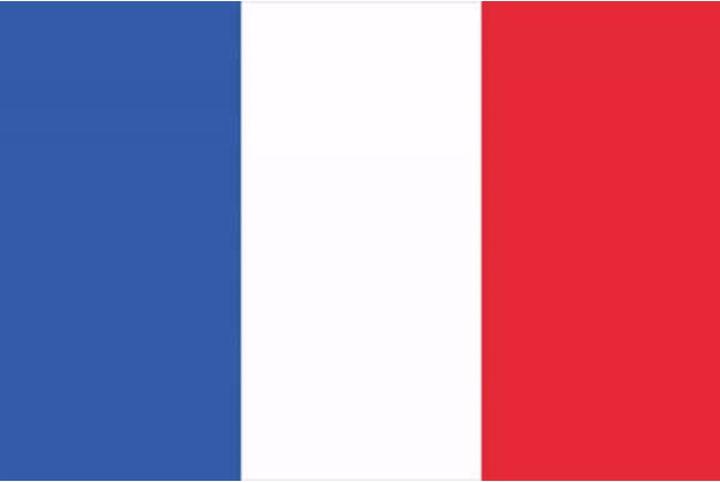 Europalms Flag, France, 600x360cm