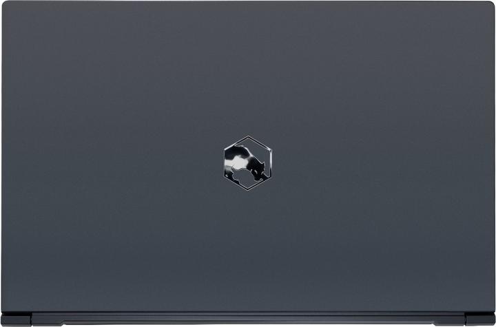 Produktbild Joule Performance Ares Pro RTX 3070 (15.60", Intel Core i7-11800H, 32 GB, 2000 GB, CH)