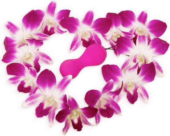 Actual product image Gvibe Gballs 2 Petal Rose