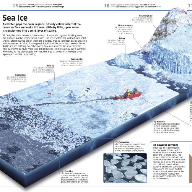 Actual product image Knowledge Encyclopedia Ocean! (English, Collectif, 2020)