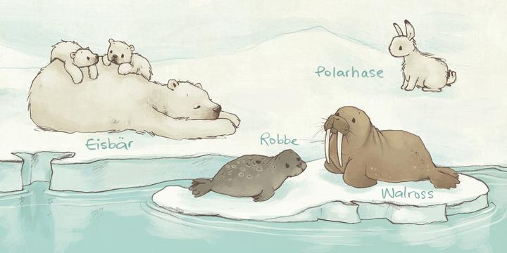 Image du produit La mini-bibliothèque des animaux - 6 mini-livres d'images cartonnés dans un coffret (Die grosse (Allemand)