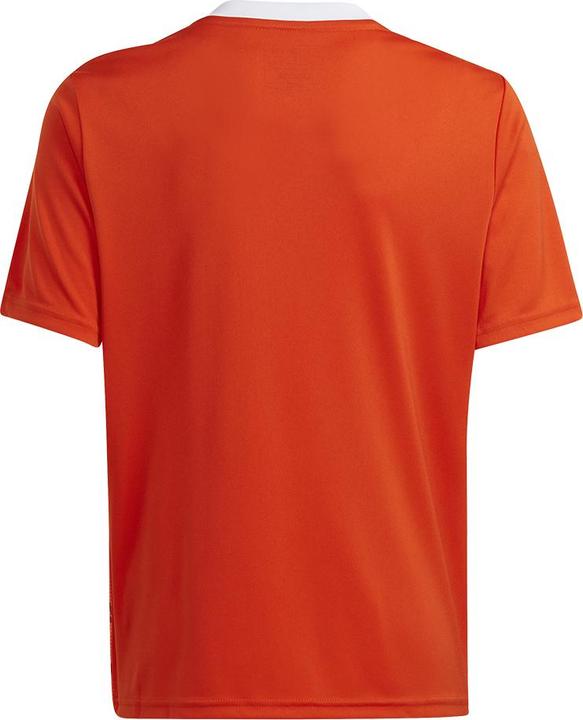 Immagine prodotto adidas Maglia Team Icon 23 (116)