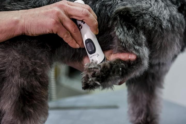 Immagine prodotto Aesculap Tagliacapelli a batteria Exacta (Cane)