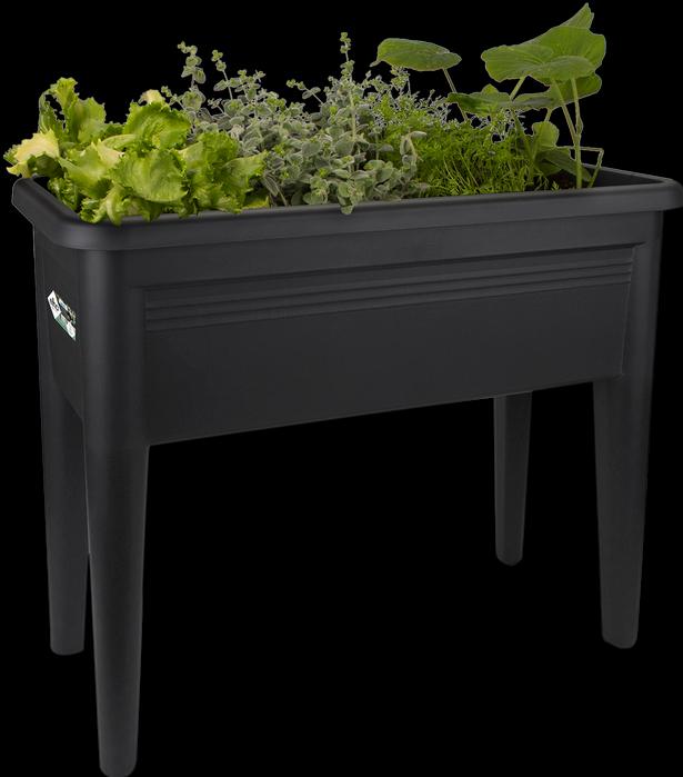 Produktbild Elho Green Basics XXL
