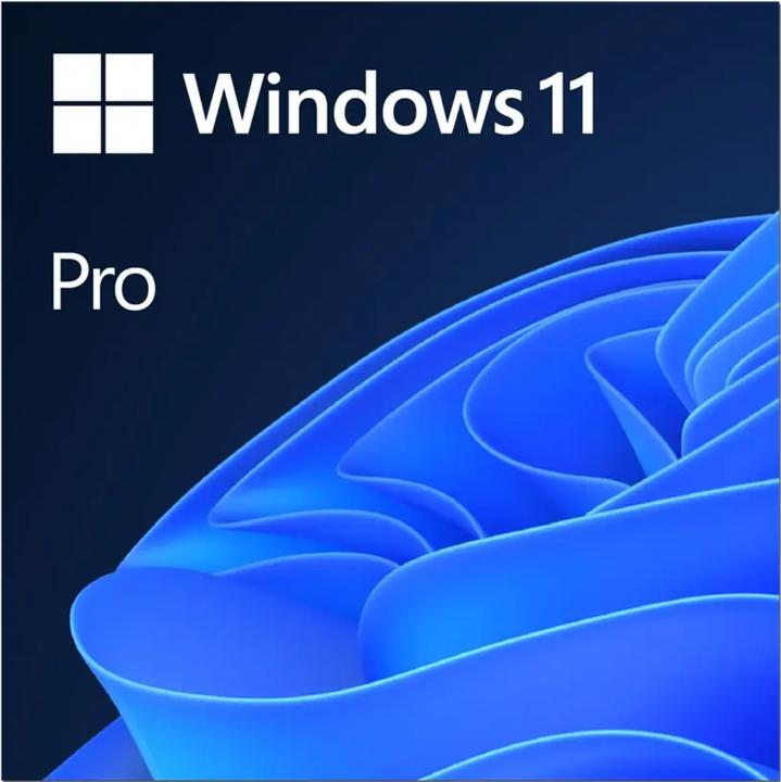 Windows 11 Pro (1 User, 1 Geräte/User, unbegrenzt)
