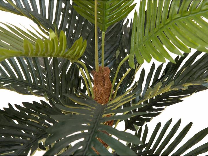Produktbild Europalms Kokospalme (90 cm)