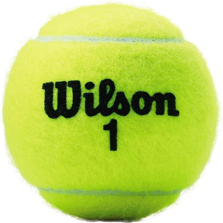 Produktbild Wilson Tennisbälle CHAMPIONSHIP 3 Stück WRT100101