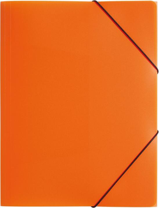 Actual product image Pagna Rubber band folder (A4, 1 x)