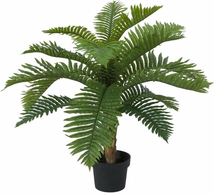 Actual product image Europalms Cycas palm, artificial plant, 70cm (70 cm)
