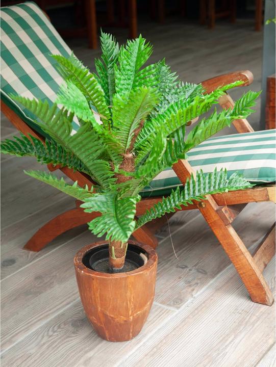 Actual product image Europalms Cycas palm, artificial plant, 70cm (70 cm)