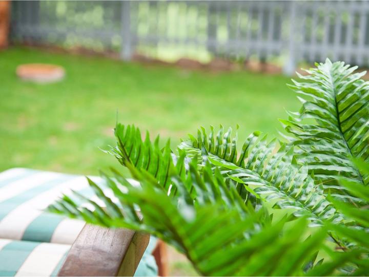 Actual product image Europalms Cycas palm, artificial plant, 70cm (70 cm)