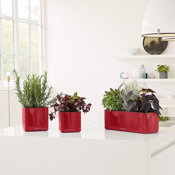 Produktbild Lechuza Cube Glossy Triple (14 cm)