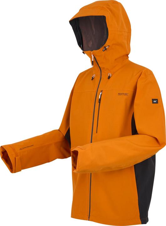 Actual product image Regatta Mens Birchdale II Waterproof Jacket (L)