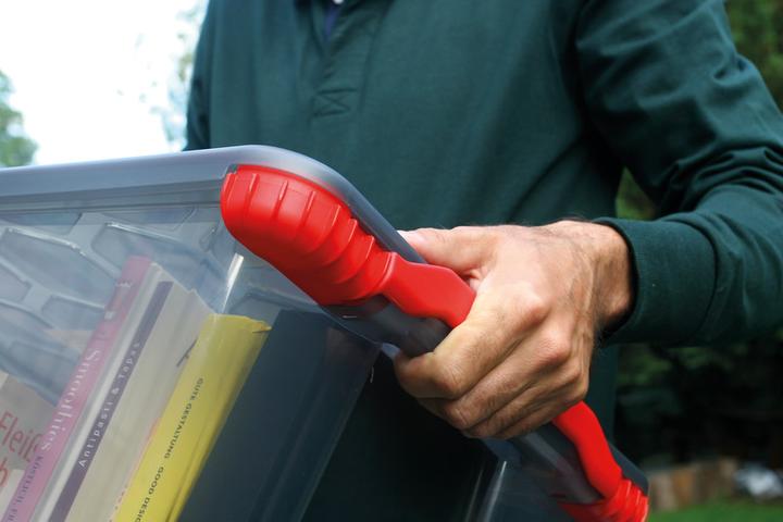 Actual product image Rotho Evo Safe Keeping (59 x 39.5 x 41 cm, 65 l)