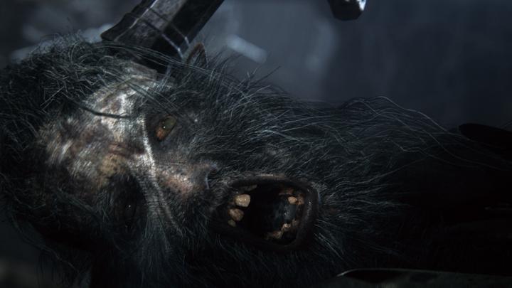 Produktbild Sony Bloodborne (PS4, EN, IT)