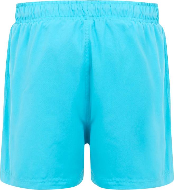 Actual product image Regatta Mens Mawson II Swim Shorts (S)